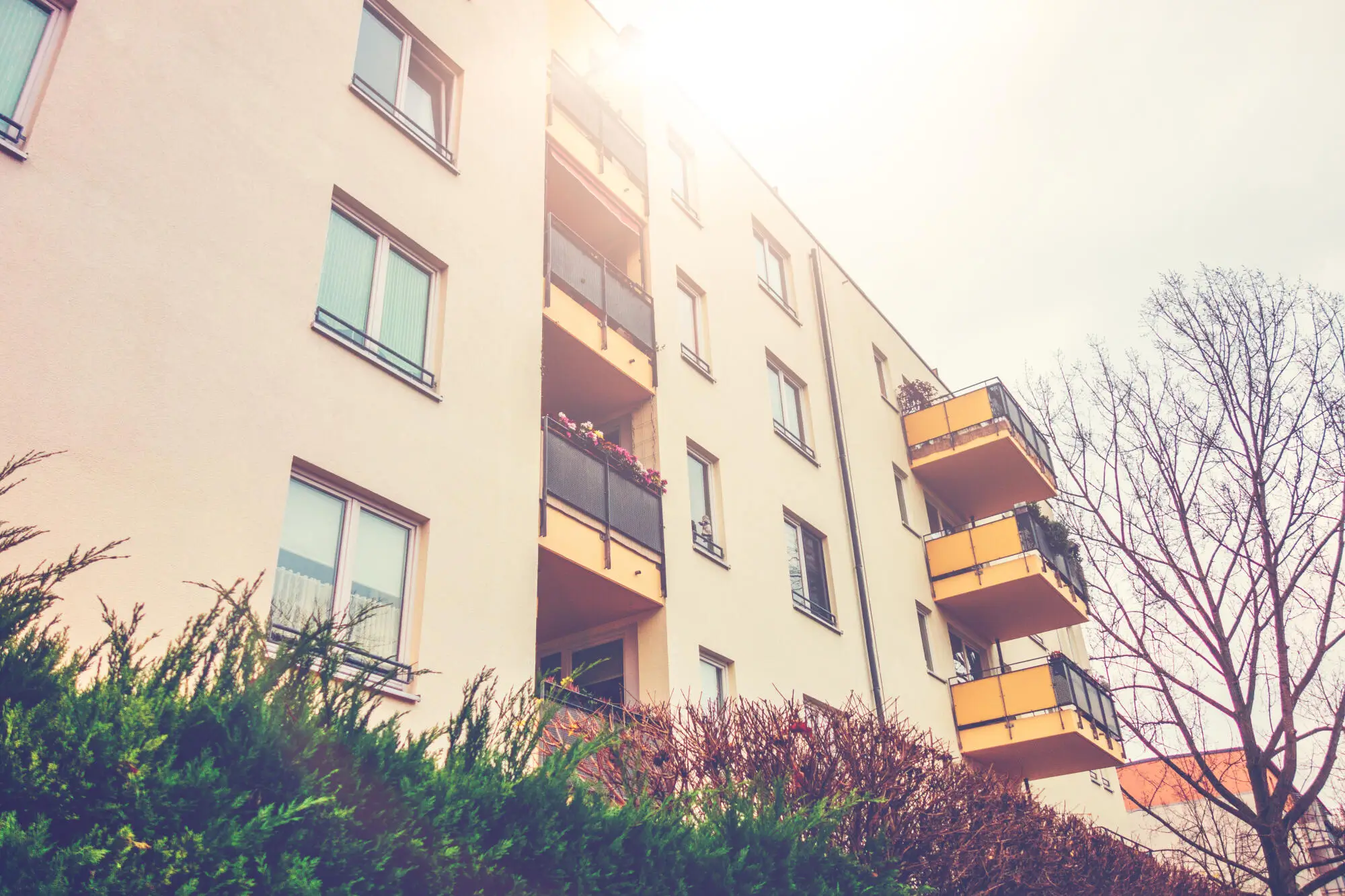 Pros and Cons of Section 8 Tenants: A Guide for Tacoma, WA, Landlords